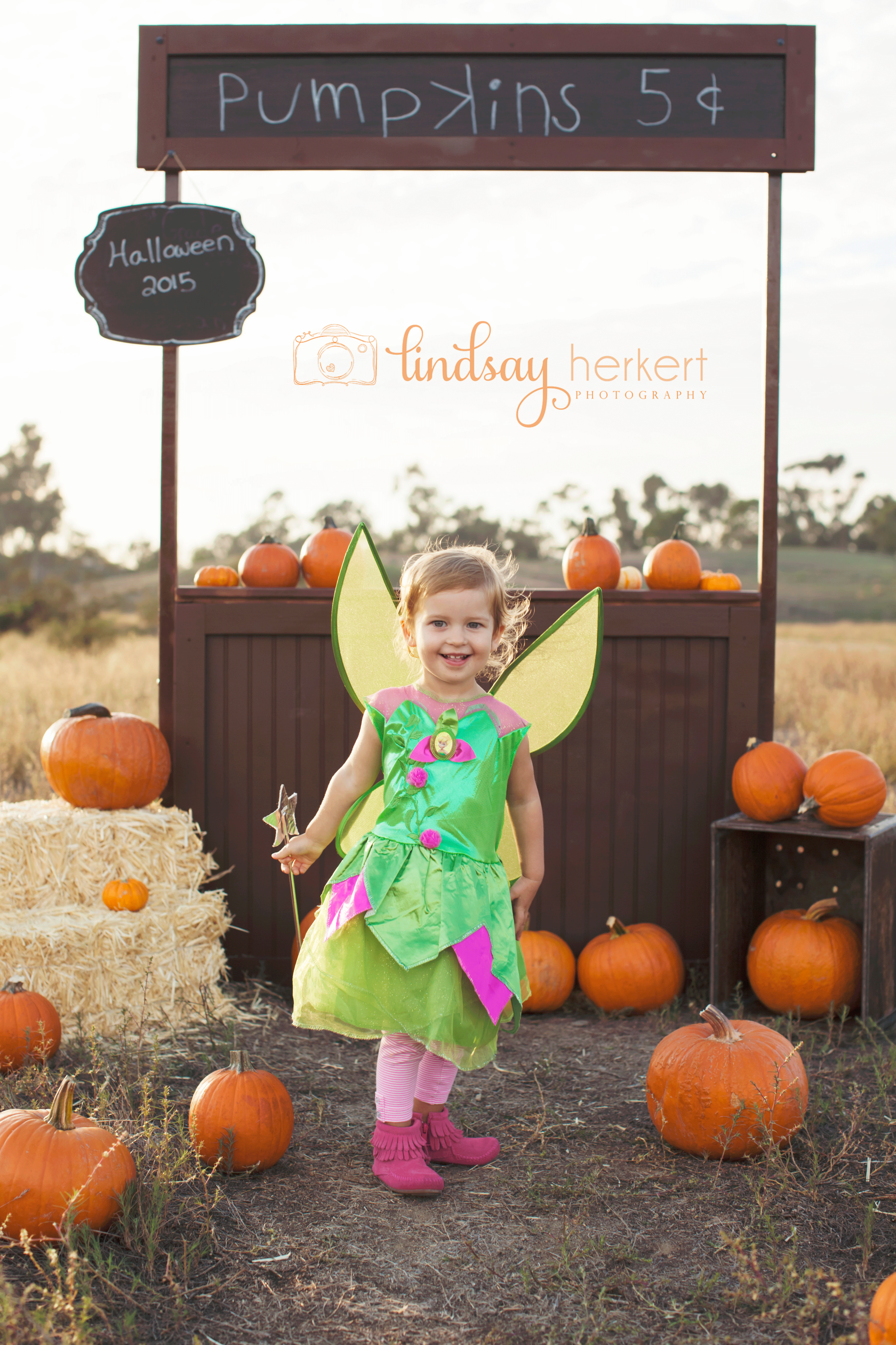 The Pumpkin Patch | Carlsbad Family Photographer