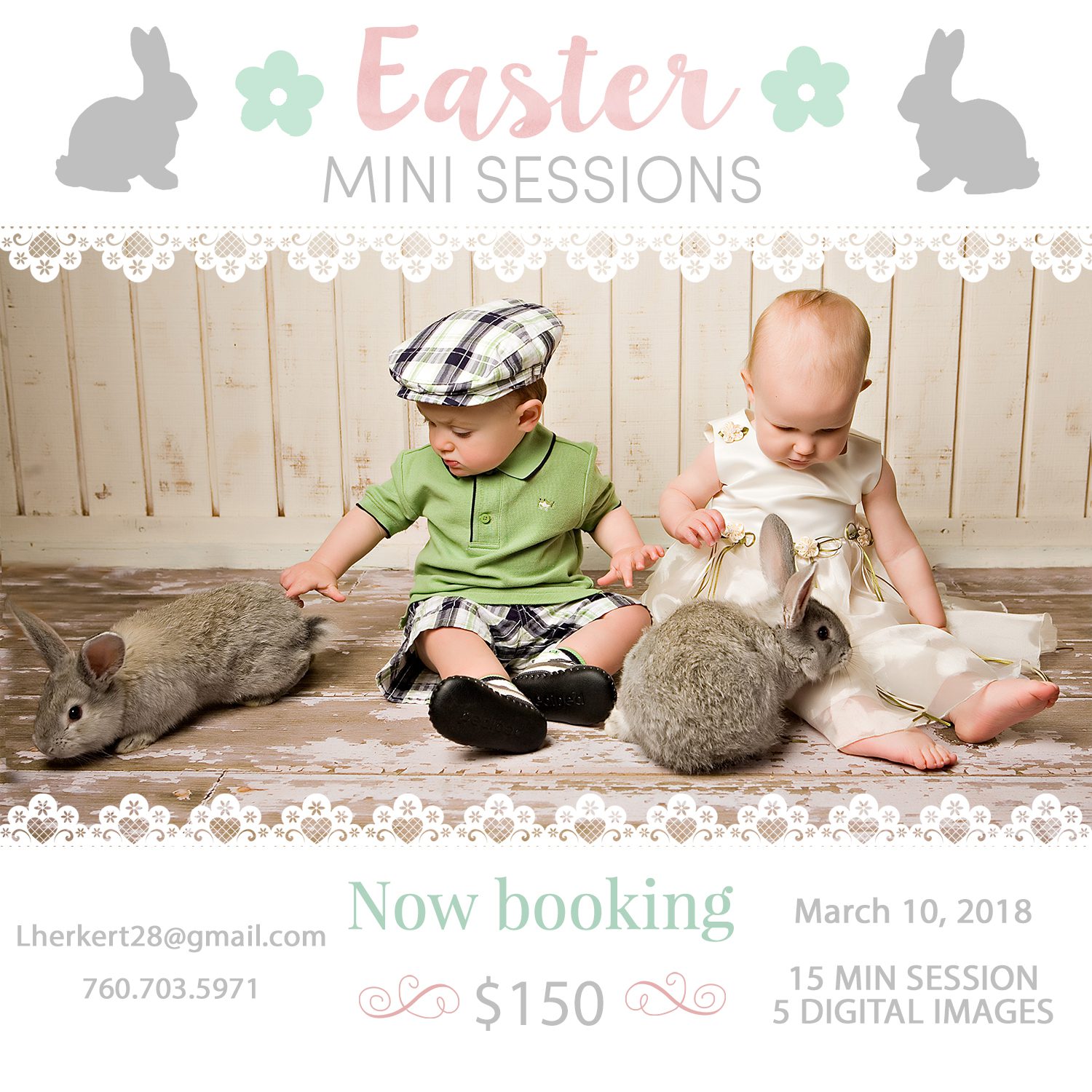 Bunny Mini Sessions
