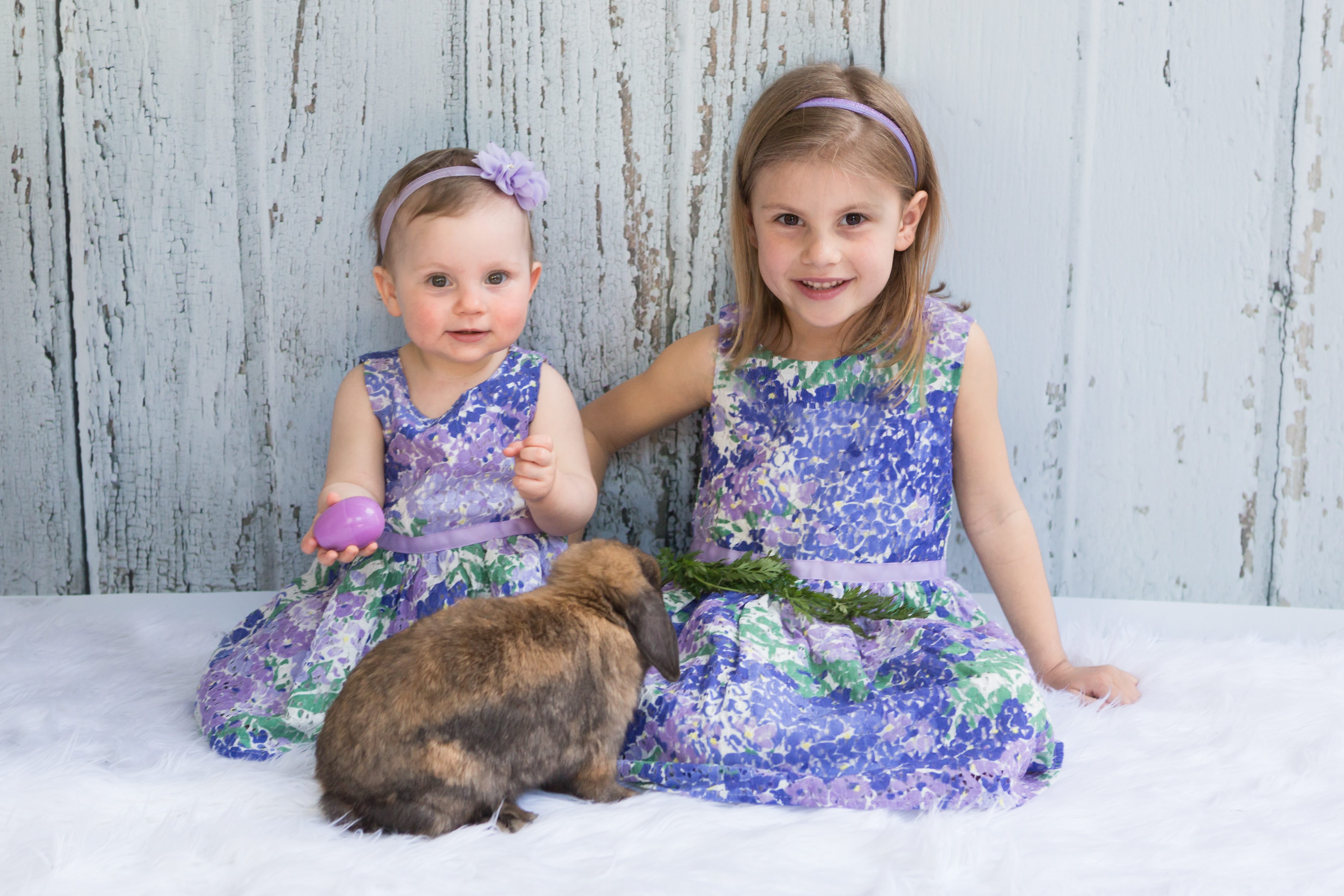Easter Mini Sessions with Live Bunnies