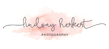 Lindsay Herkert Photography Lindsay herkert photography